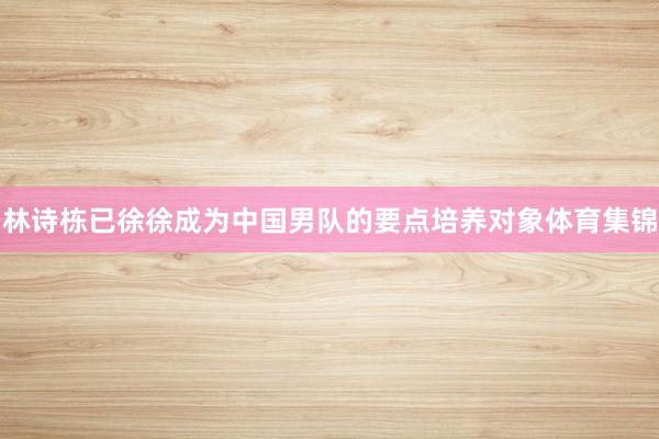 林诗栋已徐徐成为中国男队的要点培养对象体育集锦