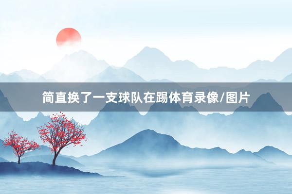 简直换了一支球队在踢体育录像/图片