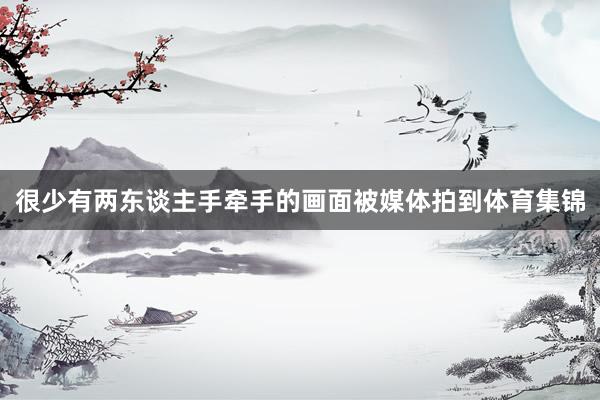 很少有两东谈主手牵手的画面被媒体拍到体育集锦