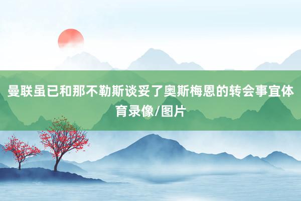 曼联虽已和那不勒斯谈妥了奥斯梅恩的转会事宜体育录像/图片