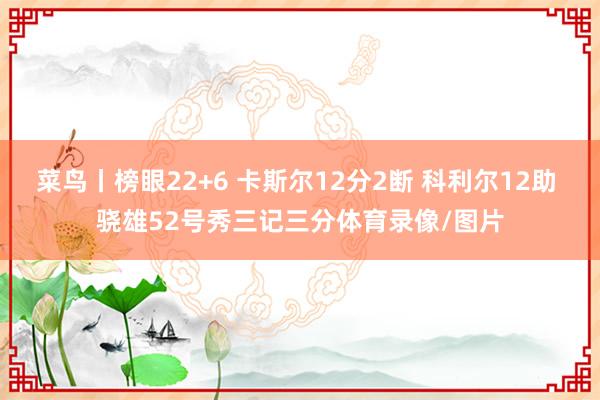 菜鸟丨榜眼22+6 卡斯尔12分2断 科利尔12助 骁雄52号秀三记三分体育录像/图片
