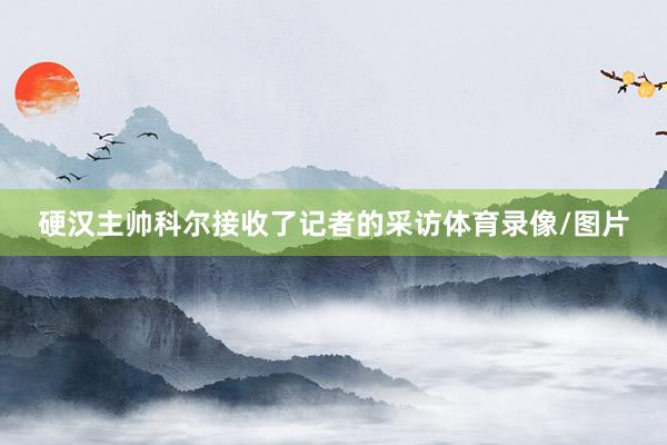 硬汉主帅科尔接收了记者的采访体育录像/图片