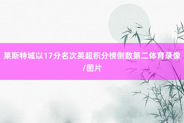 莱斯特城以17分名次英超积分榜倒数第二体育录像/图片