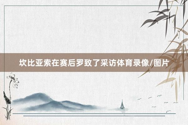 坎比亚索在赛后罗致了采访体育录像/图片